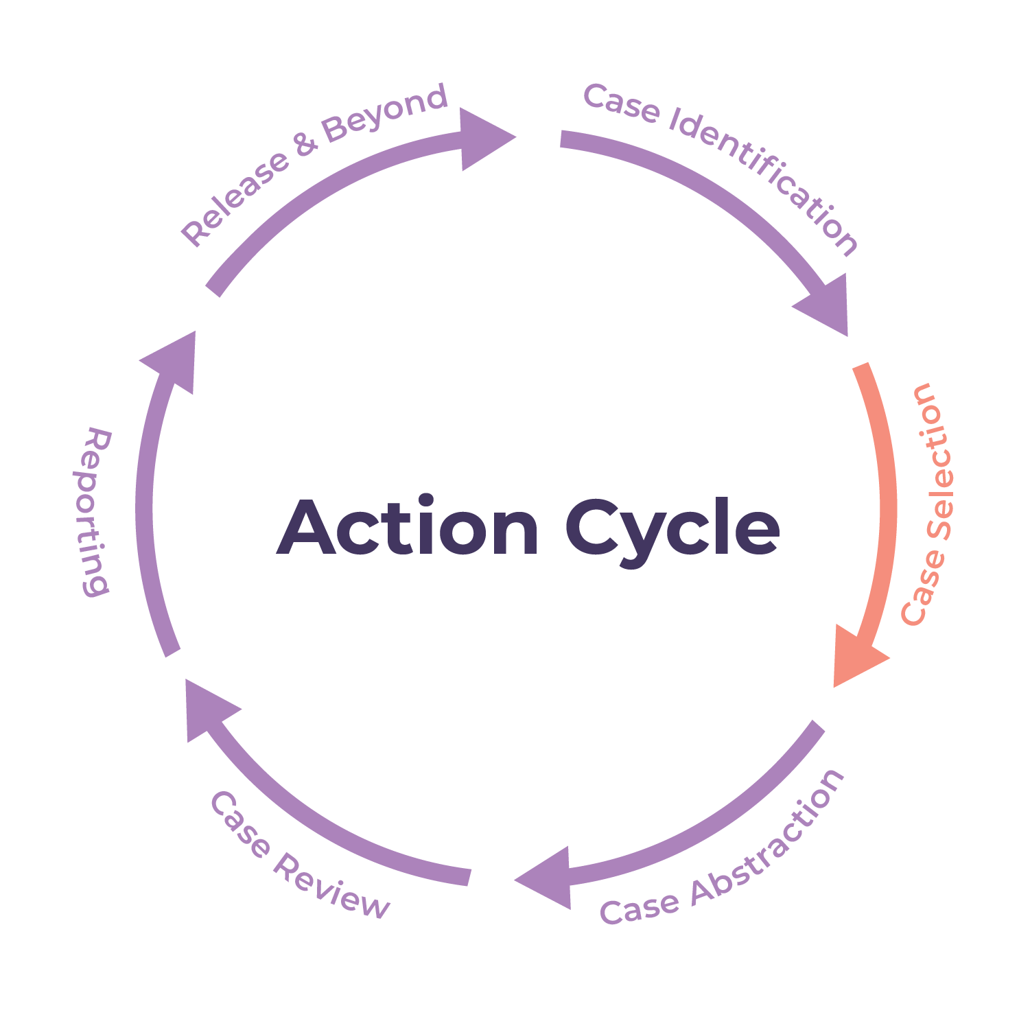 action cycle step 2
