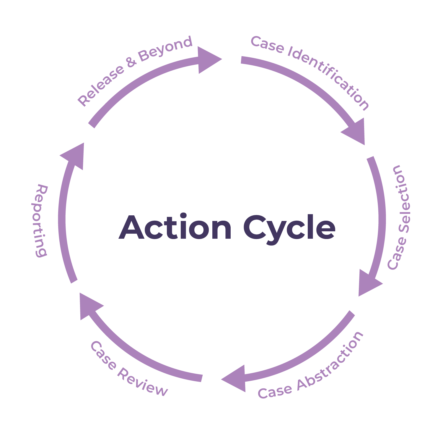 full action cycle