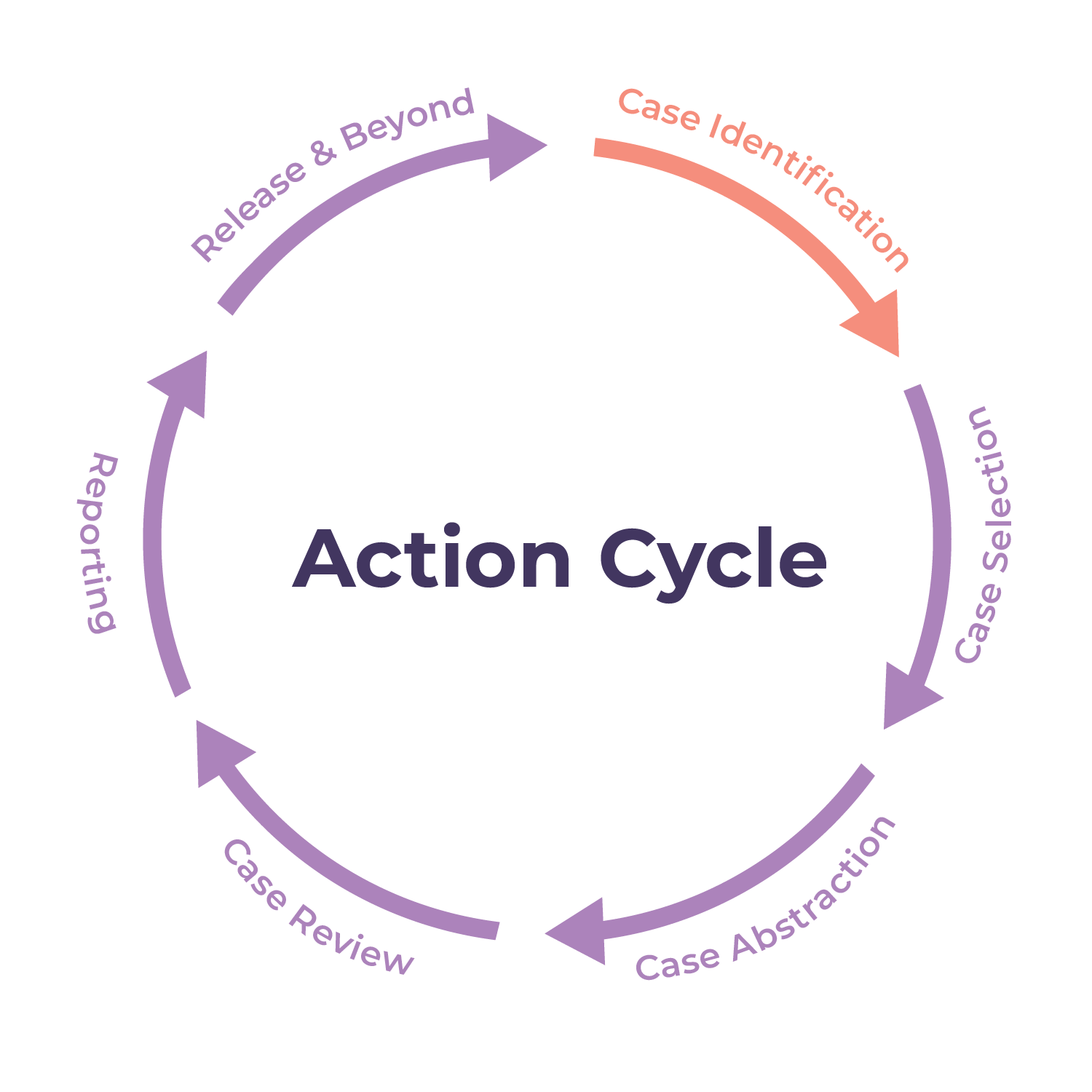 action cycle step 1