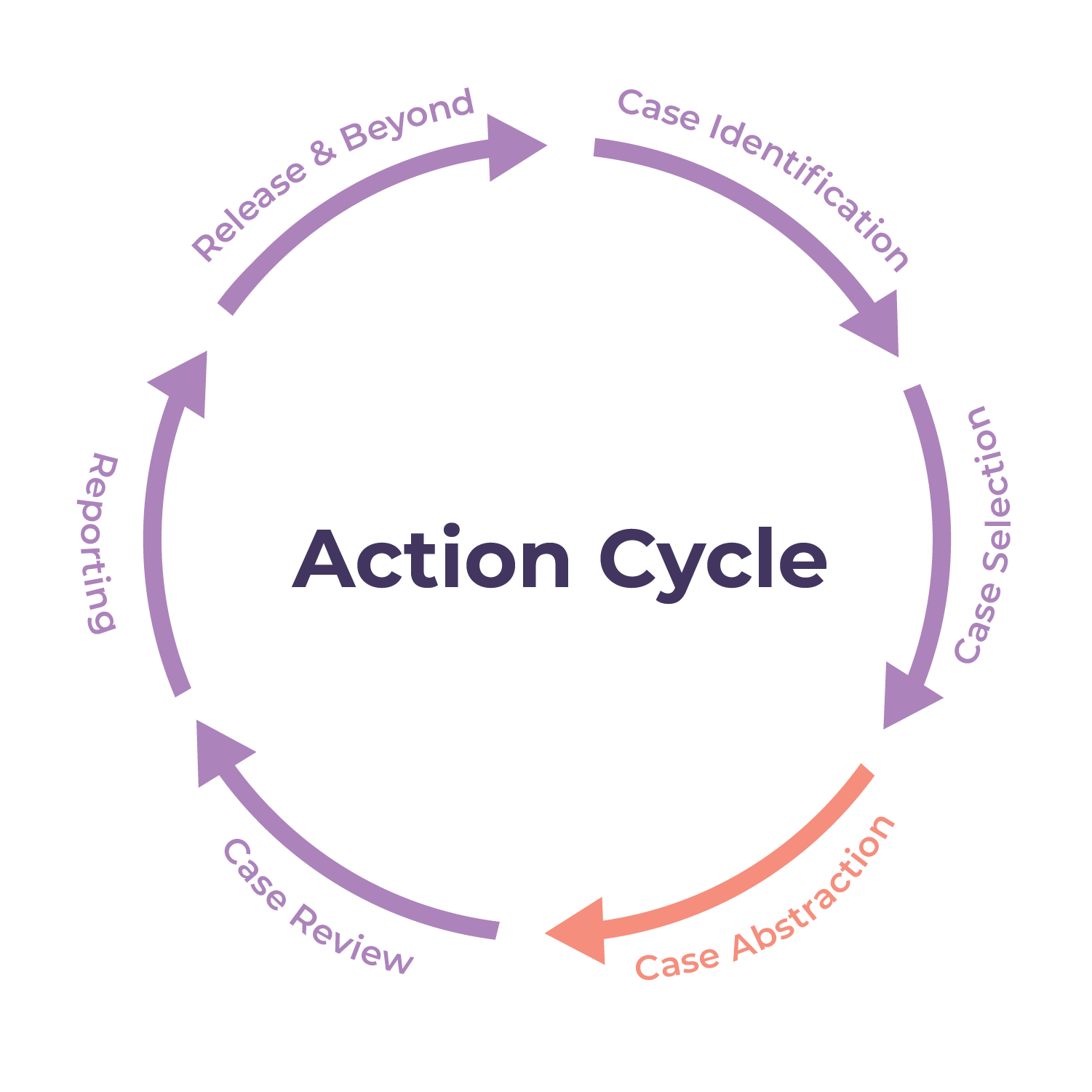 action cycle step 3