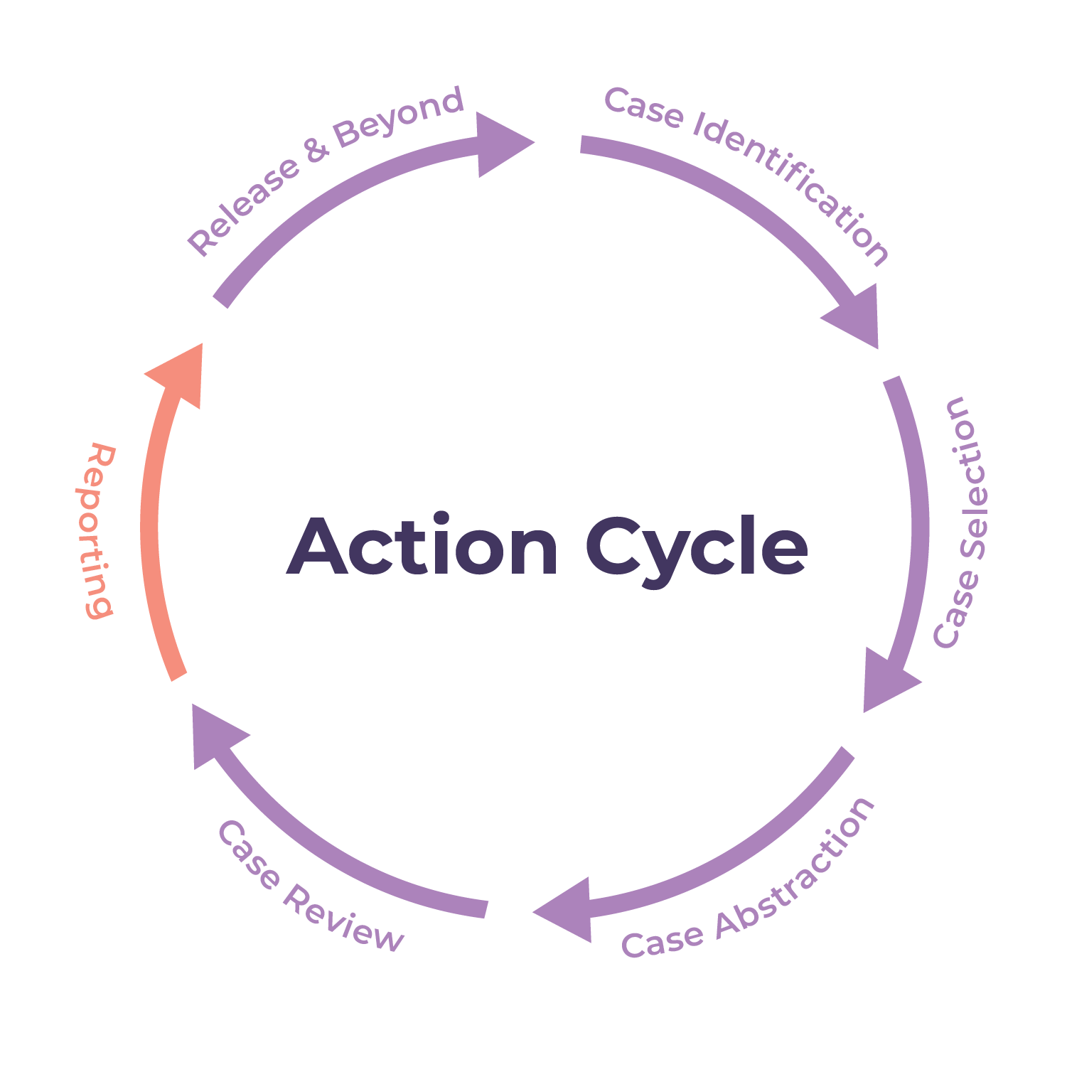 action cycle step 5