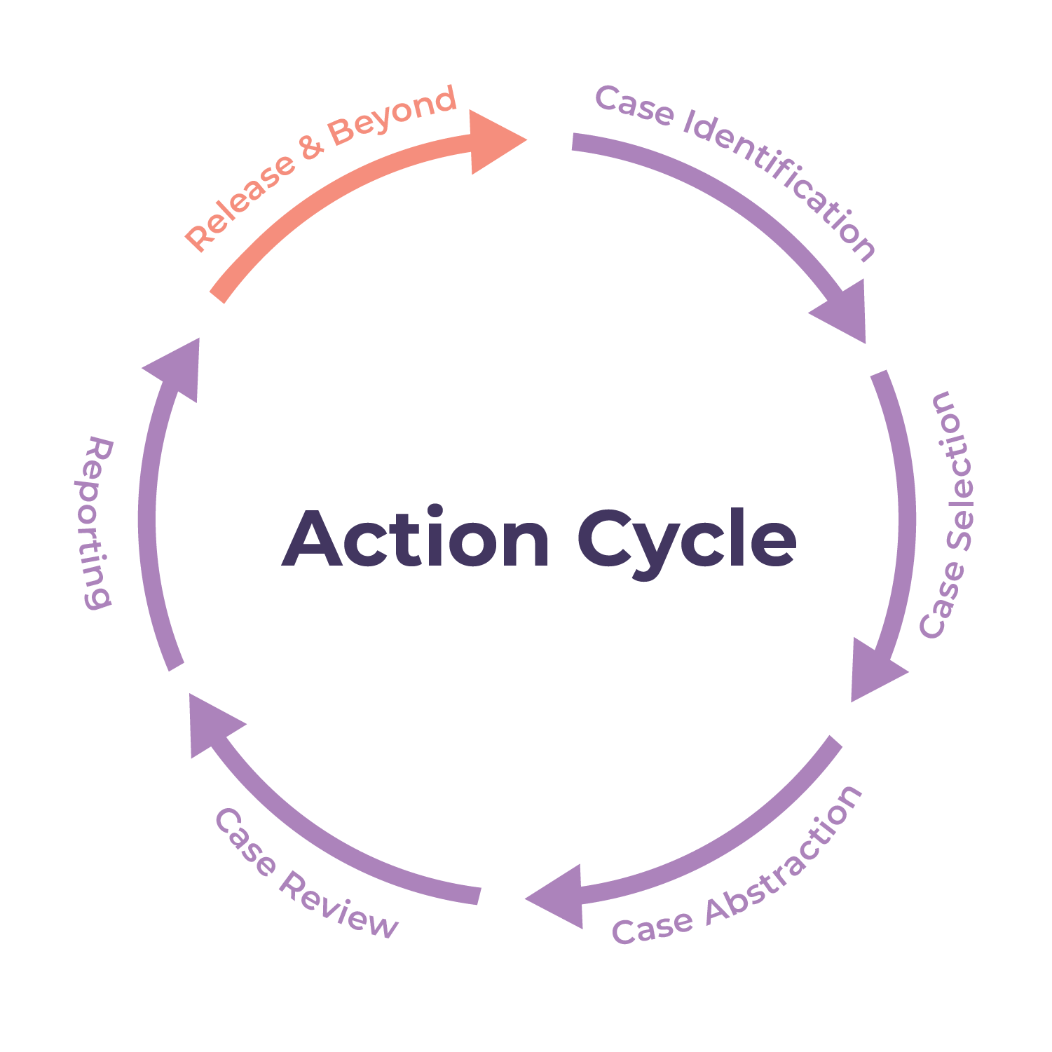 action cycle step 6
