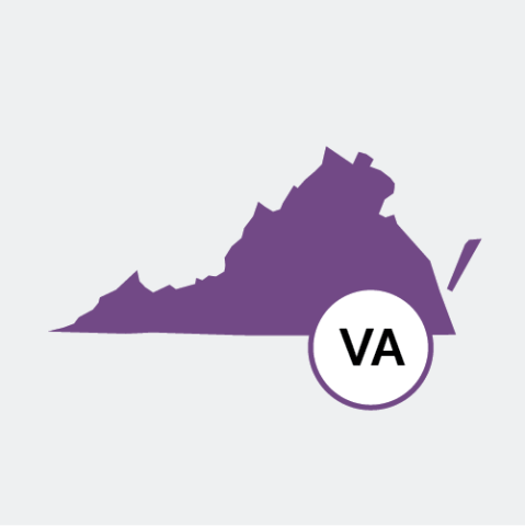 Virginia state icon